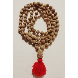 Tulsi Mala Radharani...